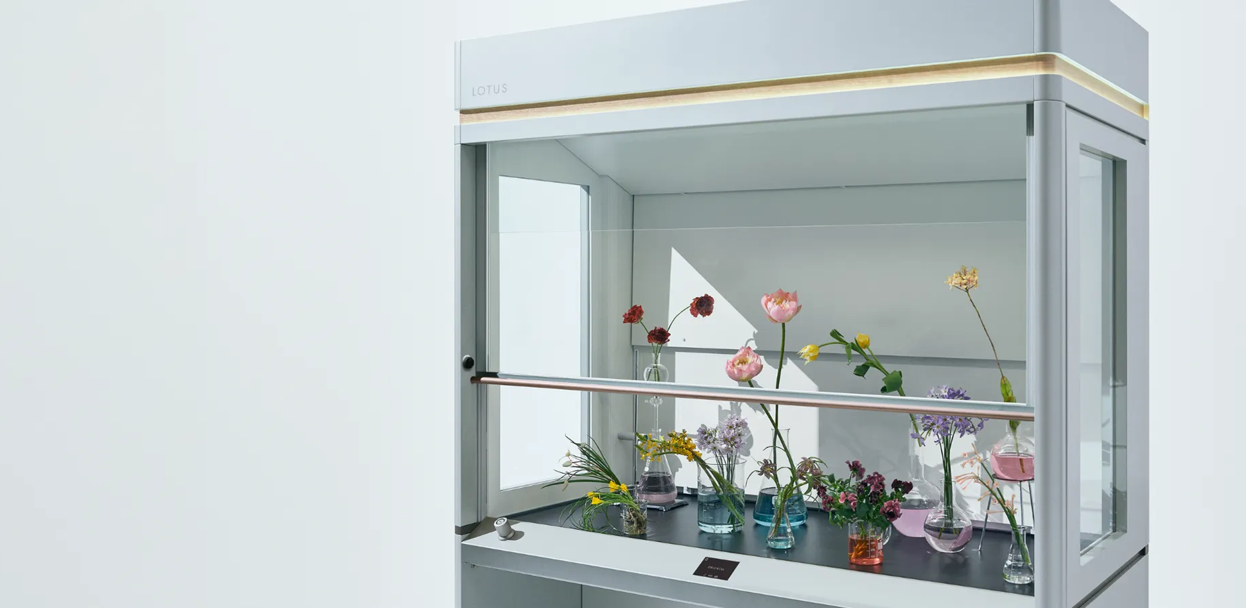 Lotus Series Fume Hood